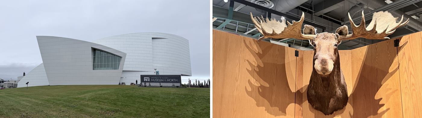 左:白色流線型的建築;右:館內的麋鹿和北極熊標本