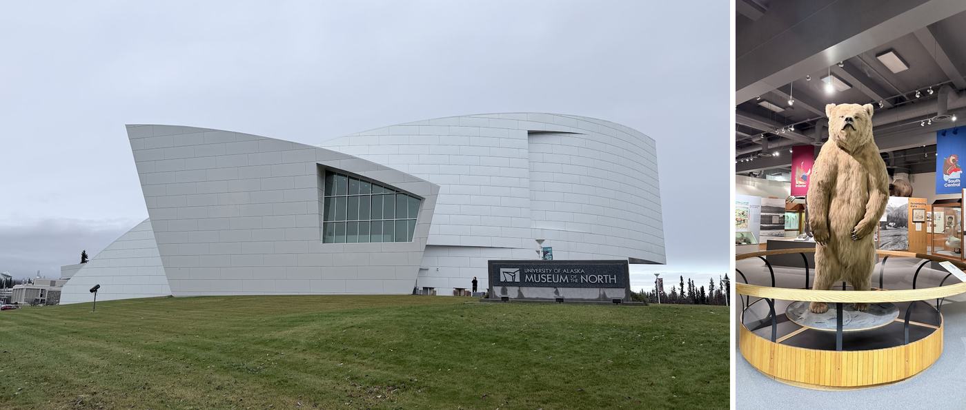 左:University of Alaska Museum of the North;右:館內的大棕熊