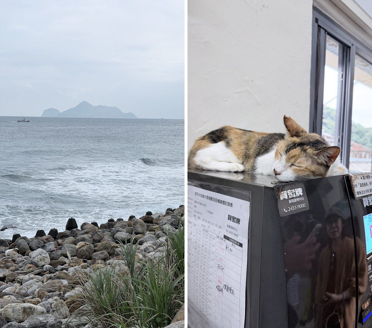 左:大里海邊看龜山島;右:猴硐車站的貓