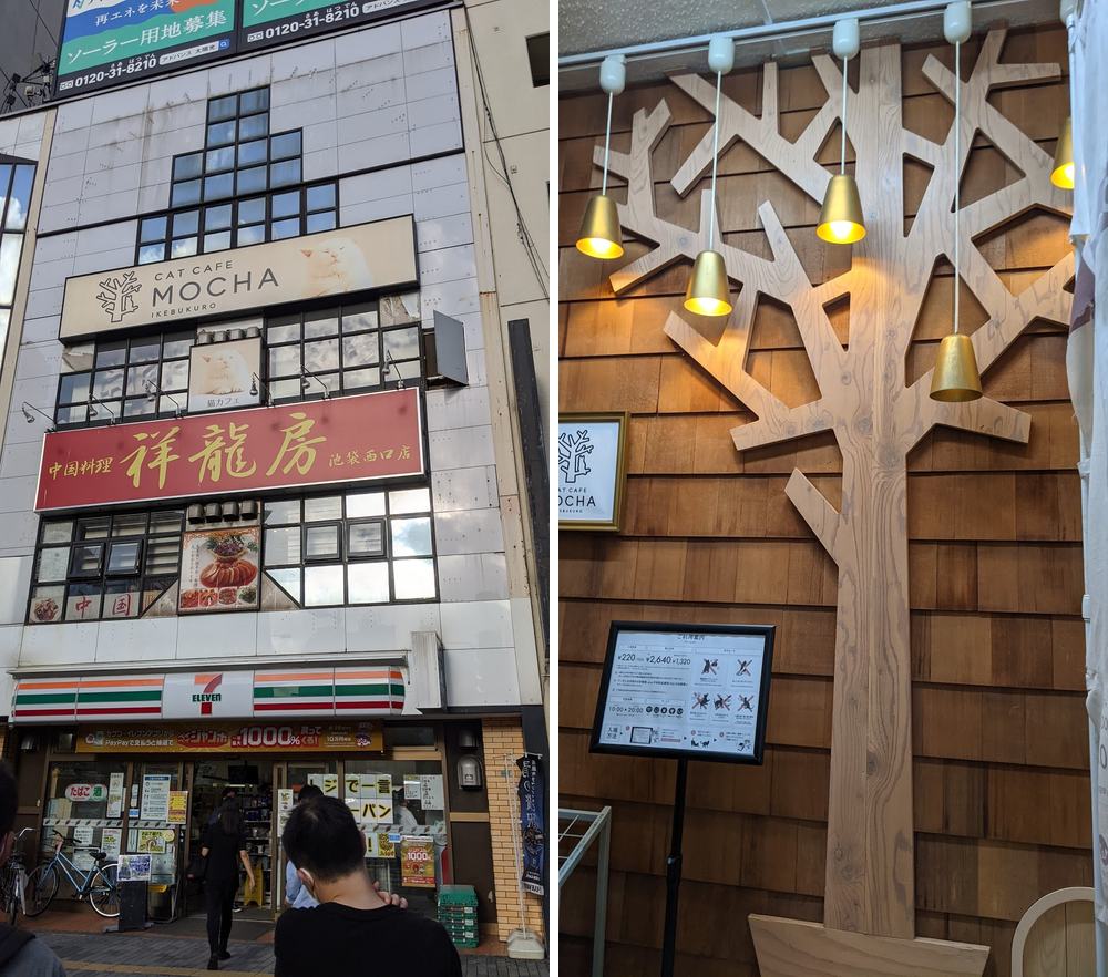 左:池袋西口的大樓,MOCHA 在樓上;右:入口的木頭大樹和價目表