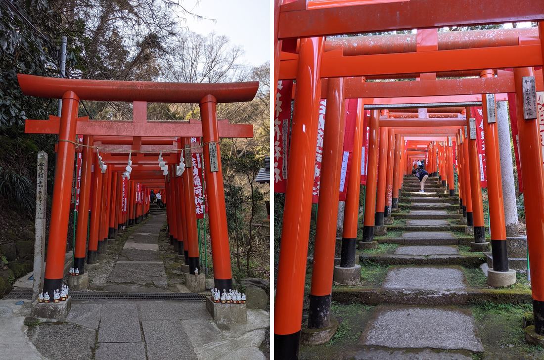 一路往上的紅色鳥居