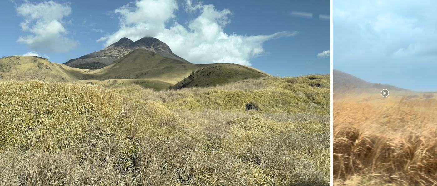 左:由布院附近的草原和由布岳;右:阿蘇草千里的金黃草原