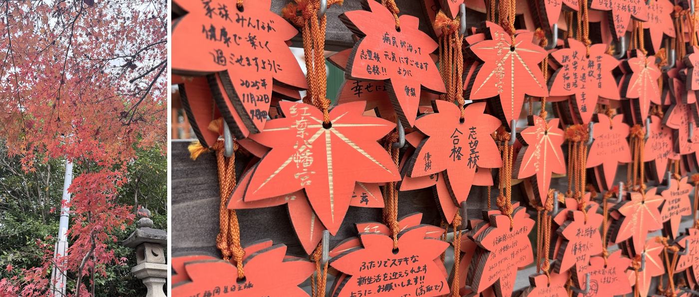 左:神社的紅葉;右:楓葉形狀的繪馬